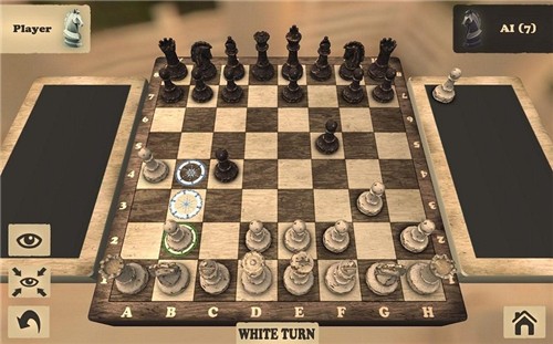 国际象棋游戏