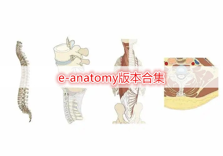 e-anatomy版本合集