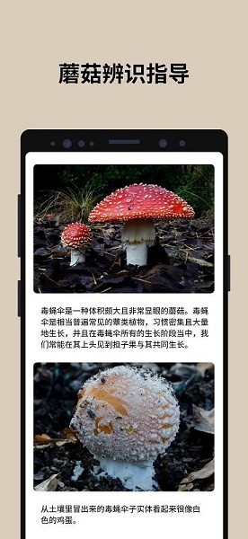 蘑菇识别扫一扫中文版 截图3