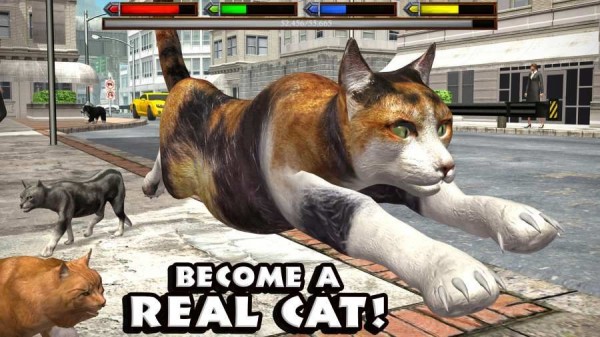 终极猫咪模拟器满级版 截图1