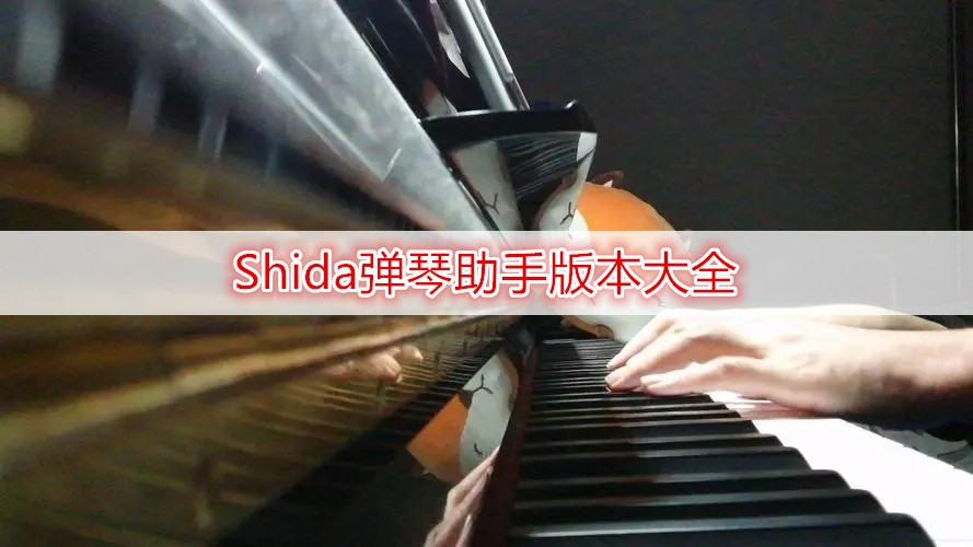 Shida弹琴助手版本大全