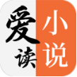 爱读小说在线版