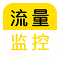 流量监控纯净版