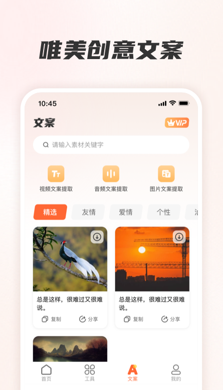 screen shots