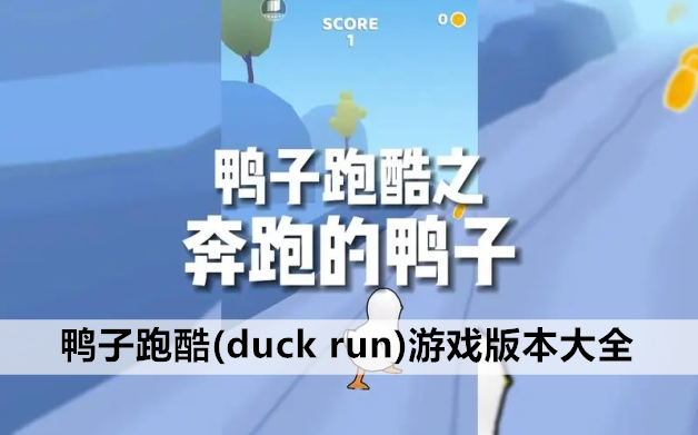 鸭子跑酷(duck run)游戏版本大全