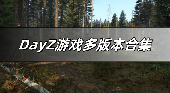 DayZ游戏多版本合集