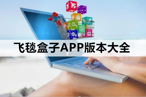 飞毯盒子APP版本大全