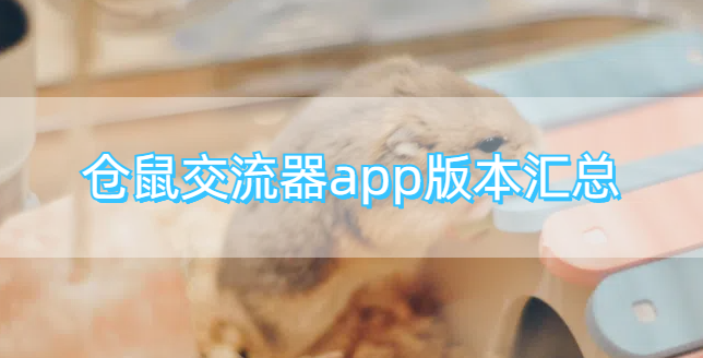 仓鼠交流器app版本汇总