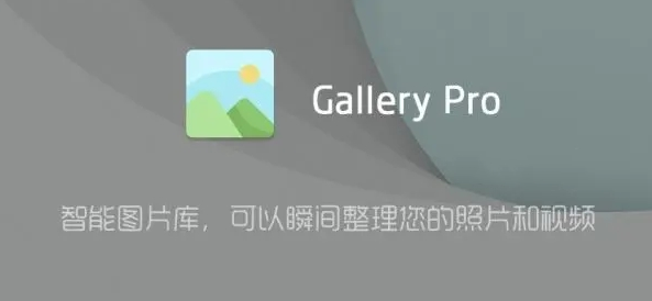 Gallery图库软件版本大全