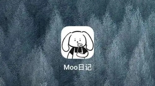 moo日记版本汇总