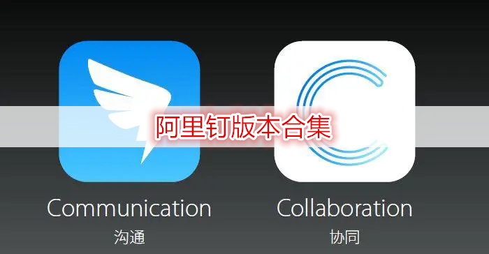 阿里钉版本合集