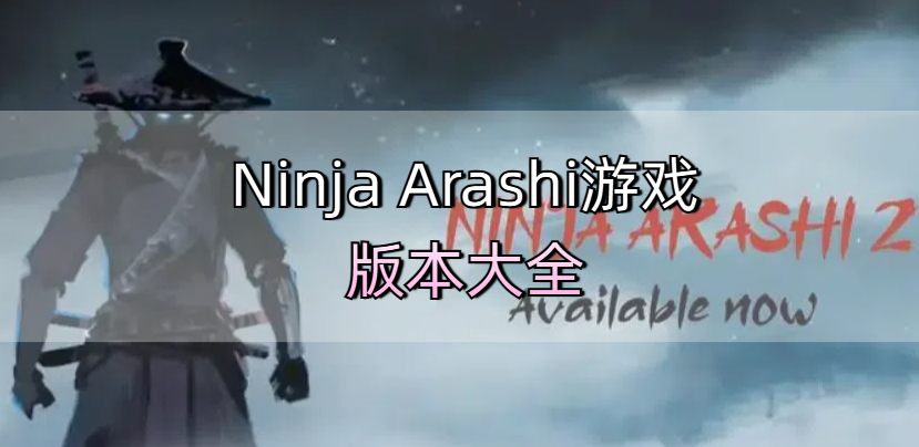 Ninja Arashi游戏版本大全