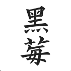 黑莓小说旧版本