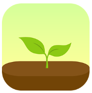 forest专注森林最新版