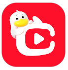 点淘App
