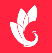 巅峰减重APP