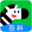 斑马百科破解版
